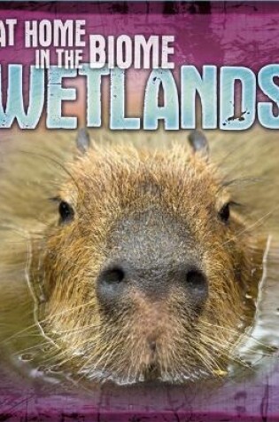 Cover of At Home in the Biome: Wetlands