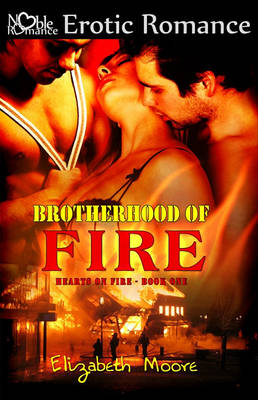 Book cover for Brotherhood of Fire