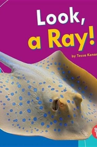 Cover of Look a Ray