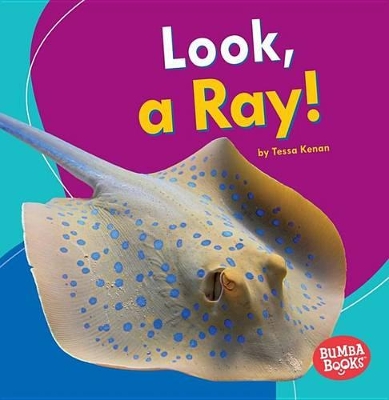 Book cover for Look a Ray