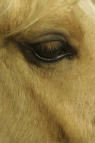 Cover of 2020 Daily Planner Horse Photo Equine Eye 388 Pages