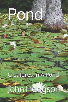 Book cover for Pond