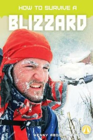 Cover of How to Survive a Blizzard