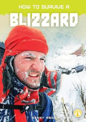 Book cover for How to Survive a Blizzard
