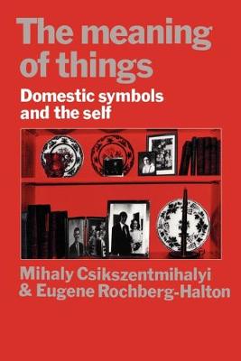 Book cover for The Meaning of Things