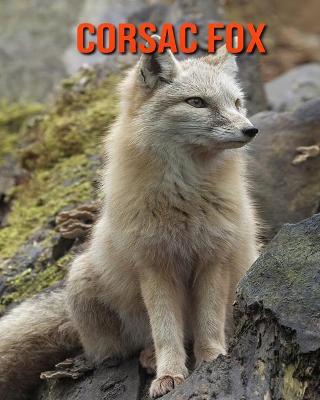 Book cover for Corsac Fox