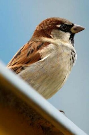 Cover of Mind Blowing Common House Sparrow Journal