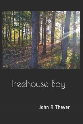Book cover for Treehouse Boy