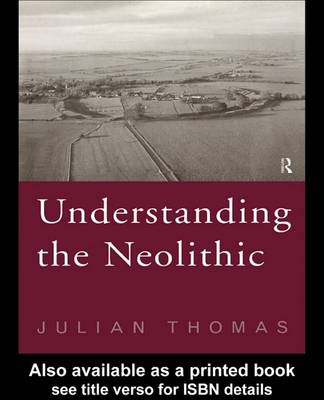 Book cover for Understanding the Neolithic