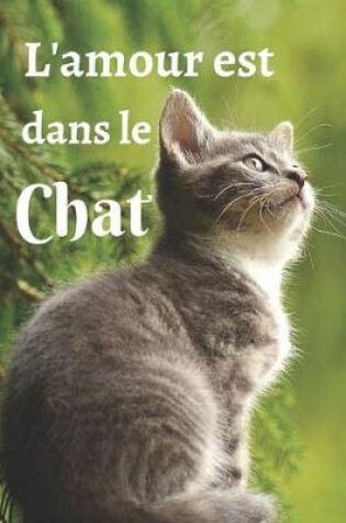 Cover of L'amour est dans le chat