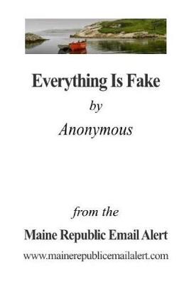 Book cover for Everything Is Fake