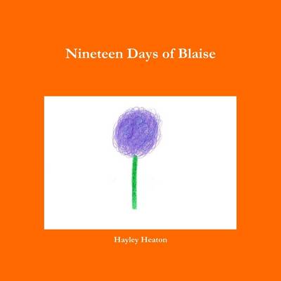 Book cover for Nineteen Days of Blaise