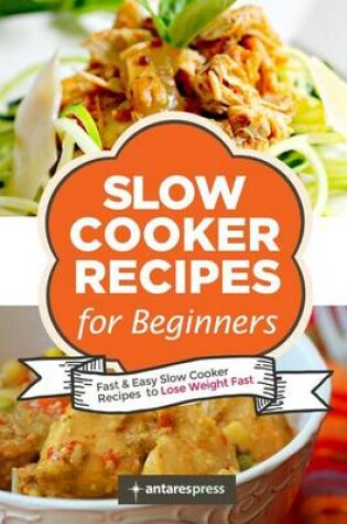 Cover of Slow Cooker Recipes for Beginners