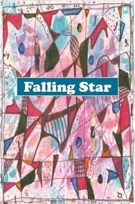 Book cover for Falling Star 2019