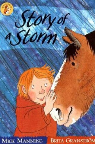 Cover of Story Of A Storm