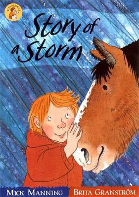 Book cover for Story Of A Storm