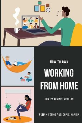 Book cover for How to Own Working From Home