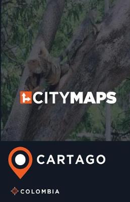 Book cover for City Maps Cartago Colombia