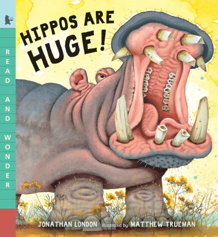 Book cover for Hippos Are Huge!