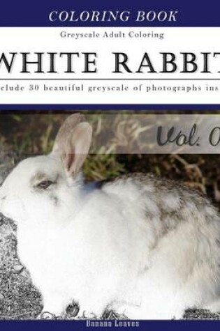 Cover of White Rabbits