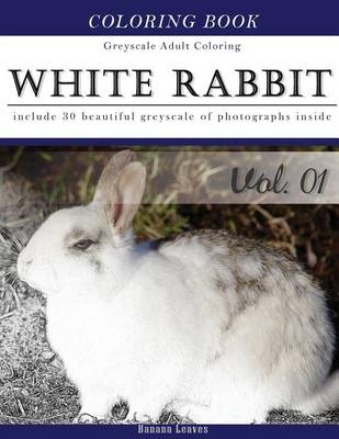 Book cover for White Rabbits