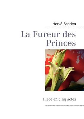 Book cover for La Fureur des Princes