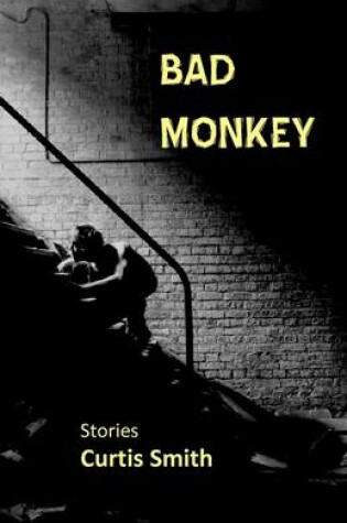 Cover of Bad Monkey