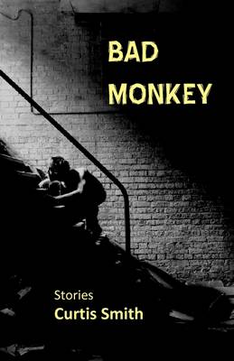 Book cover for Bad Monkey