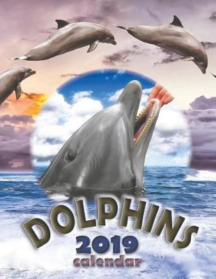 Book cover for Dolphins 2019 Calendar