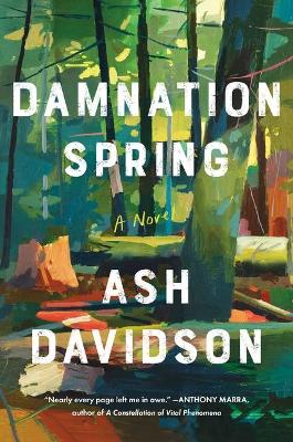 Book cover for Damnation Spring