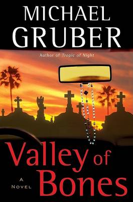 Cover of Valley of Bones