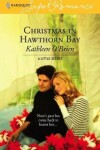 Book cover for Christmas in Hawthorn Bay