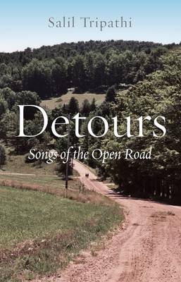 Book cover for Detours