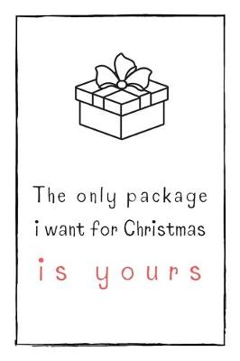 Book cover for The Only Package I Want For Christmas Is Yours