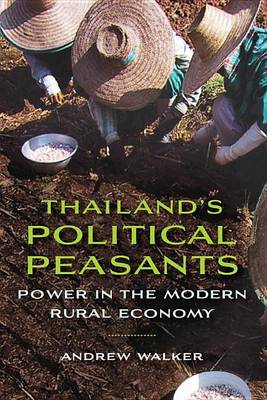 Book cover for Thailand S Political Peasants