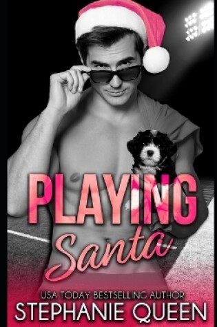 Cover of Playing Santa