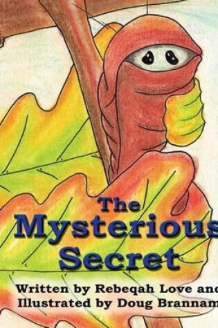Cover of The Mysterious Secret