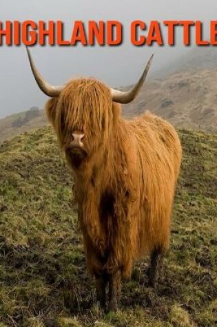 Cover of Highland Cattle