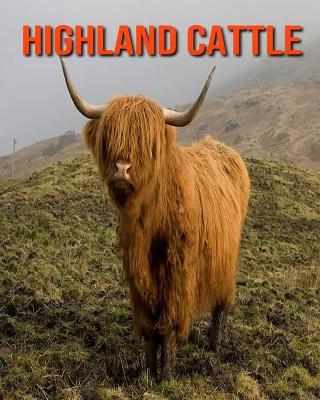 Book cover for Highland Cattle