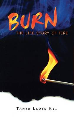 Book cover for Burn