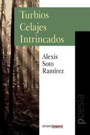 Cover of Turbios Celajes Intrincados
