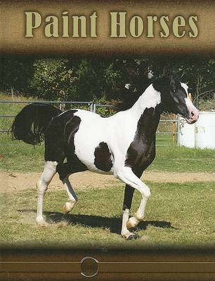 Book cover for Paint Horses