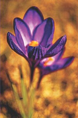 Book cover for Crocus Spring Flower Purple