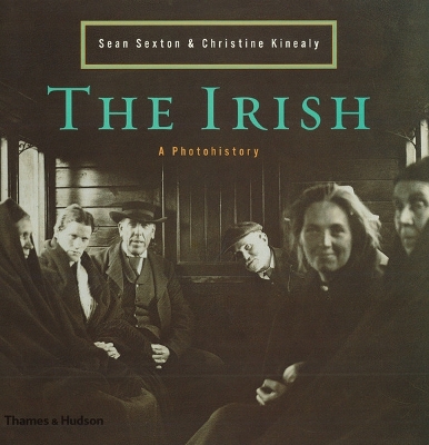Book cover for The Irish