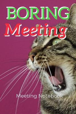 Book cover for Boring Meeting