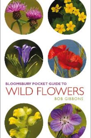 Cover of Pocket Guide To Wild Flowers