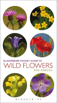 Cover of Pocket Guide To Wild Flowers