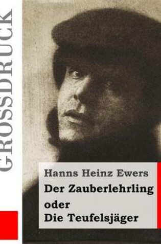 Cover of Der Zauberlehrling (Grossdruck)