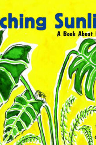 Cover of Catching Sunlight