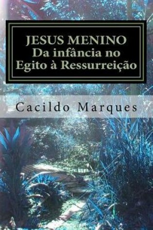 Cover of Jesus Menino